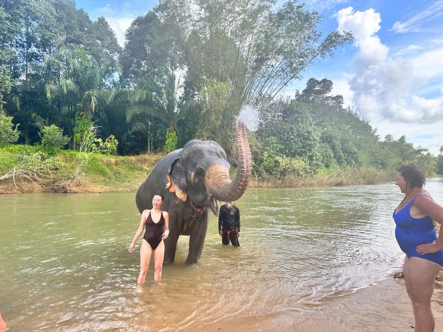 Khao Sok: Elephant Day Care, & Bamboo Rafting Day Tour - A tight five-hour Khao Sok plan that hits the big themes