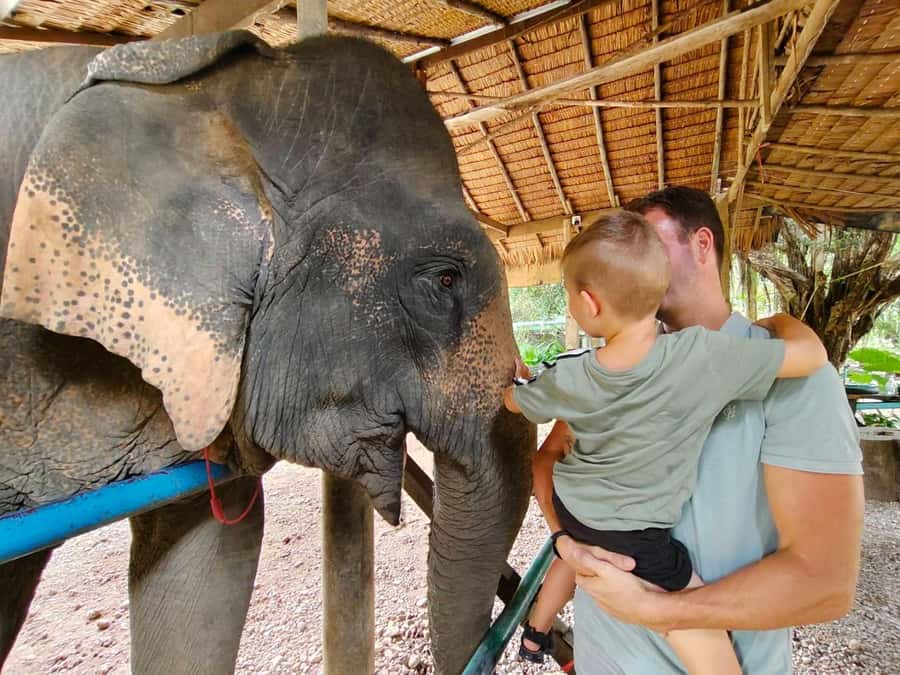 Khao Sok: Elephant Day Care, & Bamboo Rafting Day Tour - Thongsuk Elephant Park: stories, medicinal treats, and the mud spa