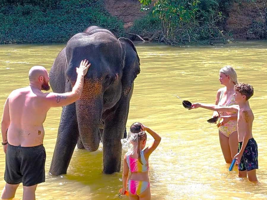 Khao Sok: Elephant Day Care, & Bamboo Rafting Day Tour - What this tour costs, and whether it is good value at $79