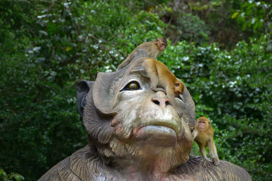 Khao Sok: Elephant Rescue Center with Lunch & Bamboo Rafting - Temple and Local Stops, Plus Mea Yai Waterfall