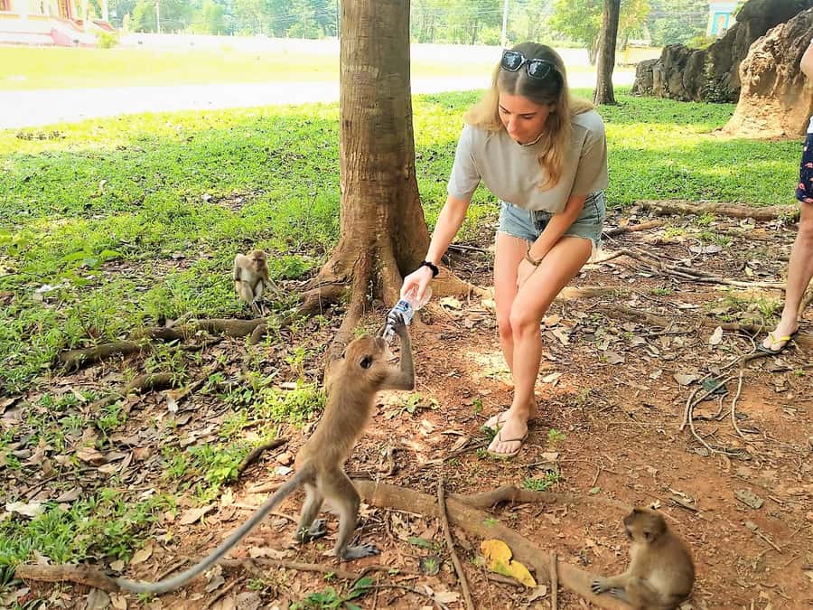 Khao Sok: Elephant Rescue Center with Lunch & Bamboo Rafting - What to Pack and Wear for Mud, Sun, and River Time