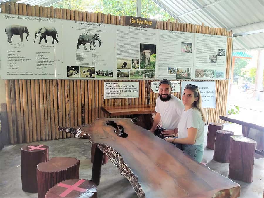 Khao Sok: Elephant Rescue Center with Lunch & Bamboo Rafting - Group Size, Guides, and Transport: Small Details That Matter