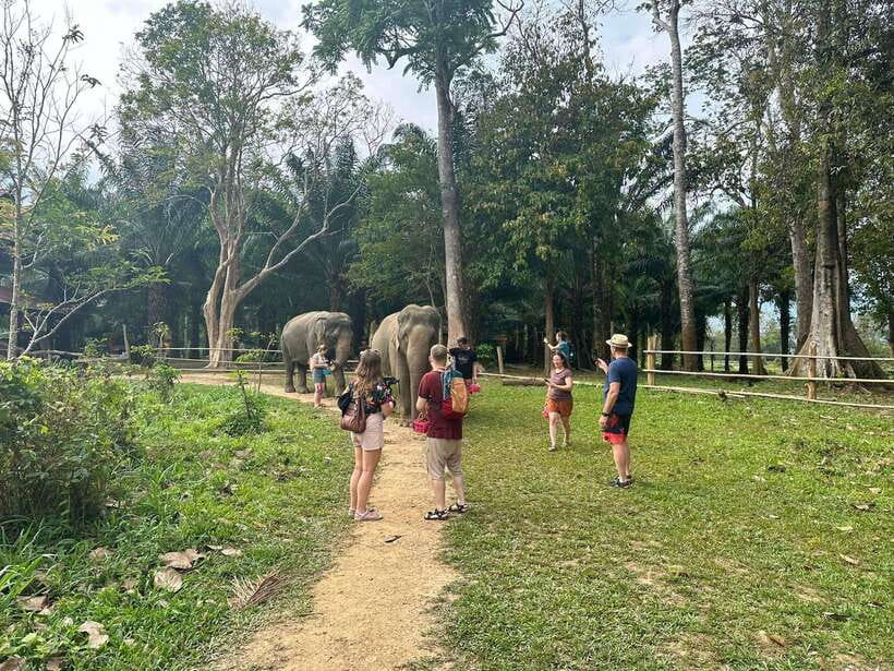Khao Sok: Ethical Elephant Experience & Nature Walk - Small Tips That Make Your Visit Easier