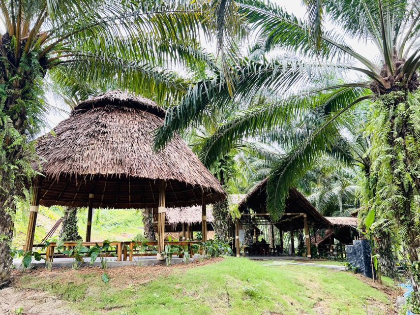 Khao Sok: Ethical Elephant Sanctuary Visit - Feeding elephants with food prep that makes sense