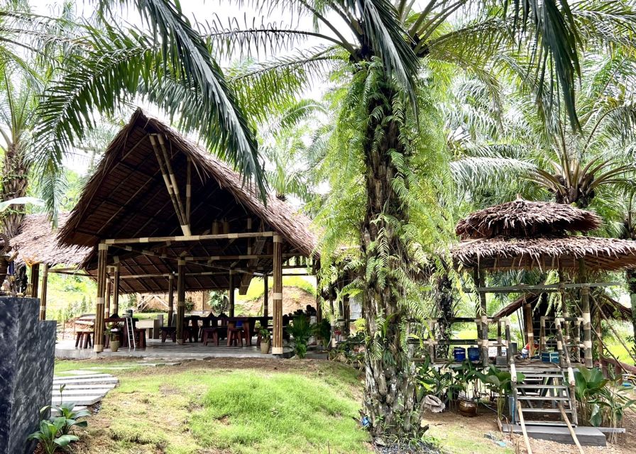 Khao Sok: Ethical Elephant Sanctuary Visit - Price and logistics: $41 can be good value if it matches your day