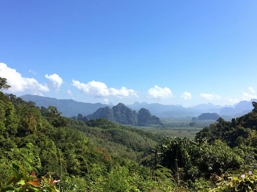 Khao Sok Jungle Day Trip - Jungle Trekking & Bamboo Rafting - Wildlife spotting works best when you slow down
