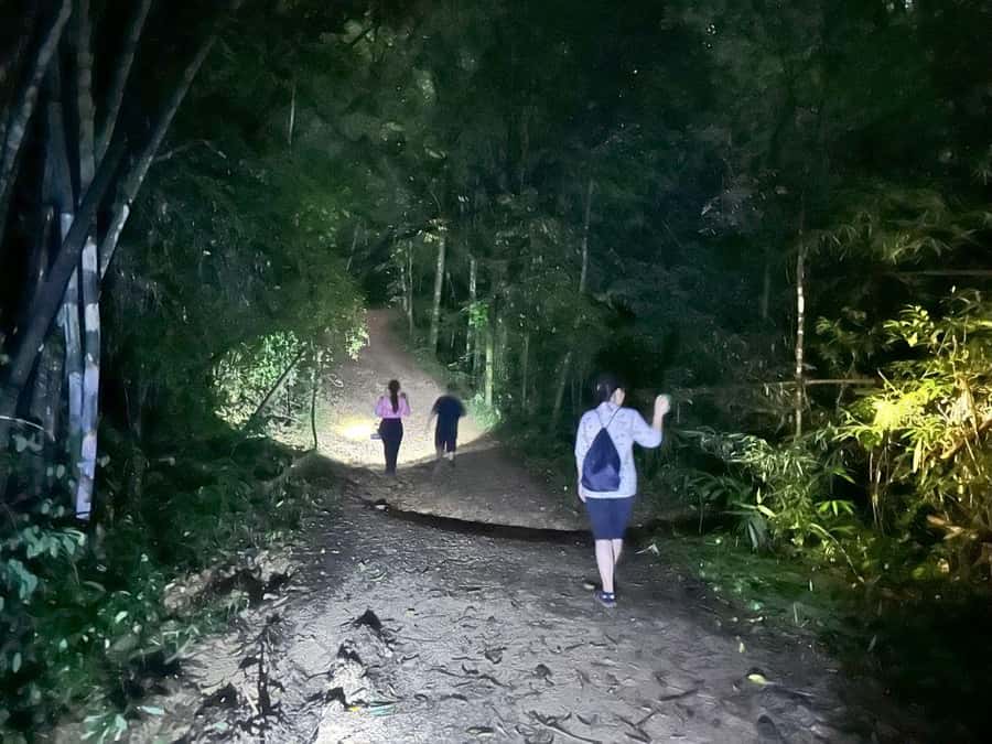 Khao Sok Jungle Sunset Wildlife Encounter & Bamboo Rafting - Phanthurat Temple photo stop: a quick cultural reset inside the forest