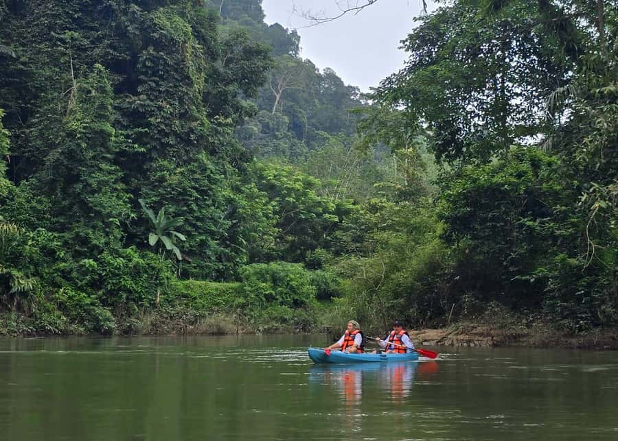 Khao Sok Park: Jungle Kayak Adventure & Wildlife Tour - Private or Small Groups: Why That Matters on a Kayak