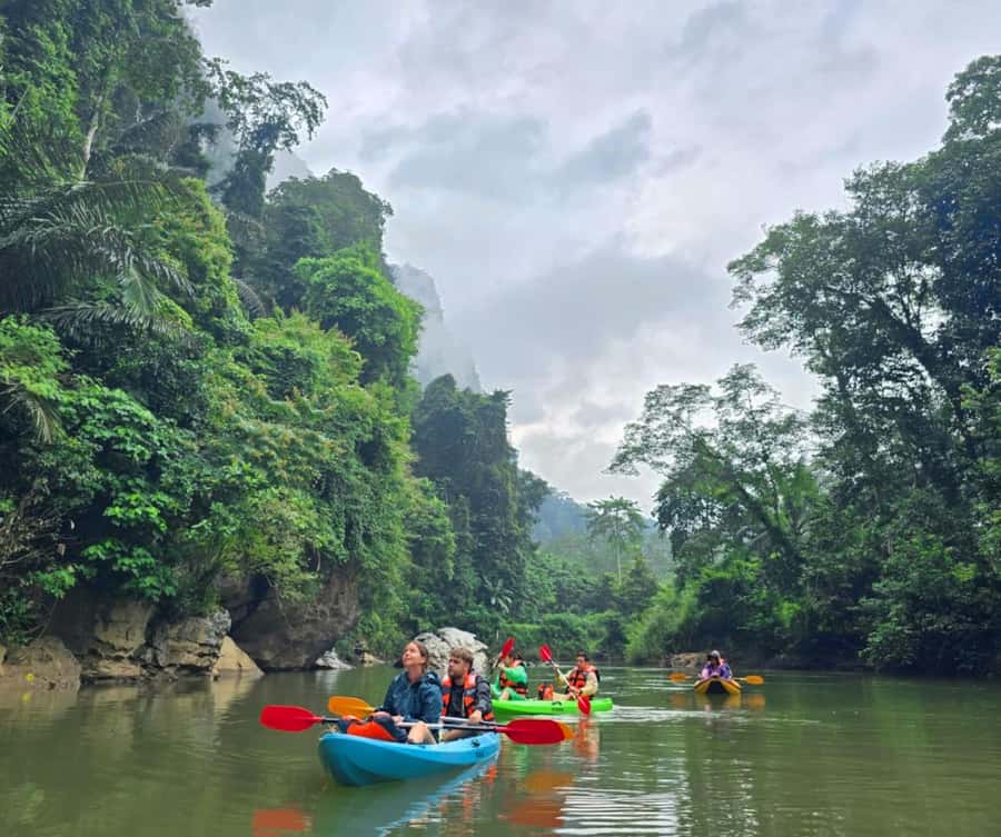 Khao Sok Park: Jungle Kayak Adventure & Wildlife Tour - Paddling the Jungle Canal at Your Own Tempo
