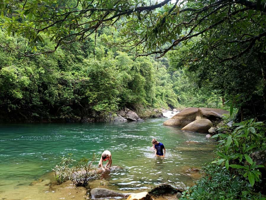 Khao Sok: Private Day Trekking, Jungle Dinner & Night Safari - Key Highlights to Know Before You Go