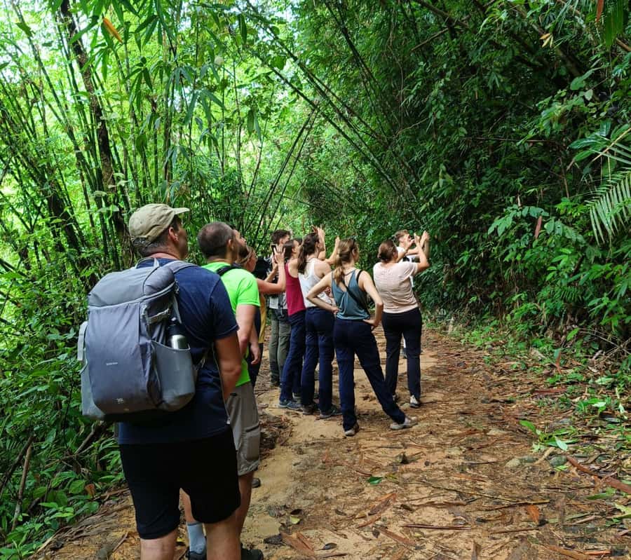 Khao Sok: Private Day Trekking, Jungle Dinner & Night Safari - Wildlife Expectations: It’s Not an African Safari, and That’s Okay