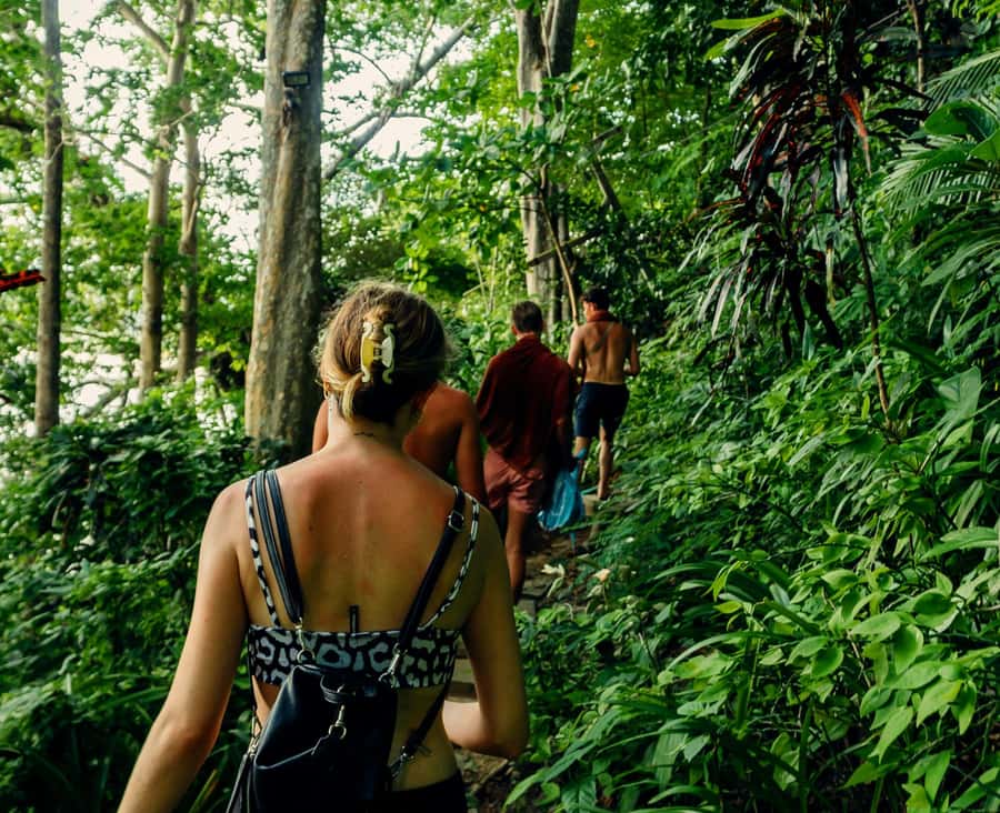 Khao Sok: Private Day Trekking, Jungle Dinner & Night Safari - Night Safari: Spotting Nocturnal Wildlife by Slow Scanning