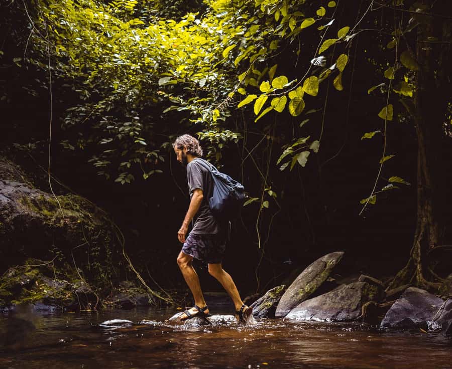 Khao Sok: Private Day Trekking, Jungle Dinner & Night Safari - What Guides Like June and Big Boy Actually Add
