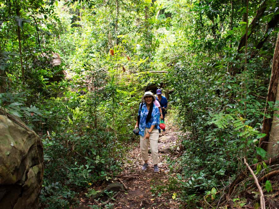 Khao Sok: Private Jungle Trek, Waterfall Swim & Bamboo Lunch - Khao Sok jungle trek: what the half-day really feels like