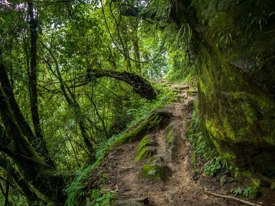 Khao Sok: Private Jungle Trek, Waterfall Swim & Bamboo Lunch - Quick checklist before you book