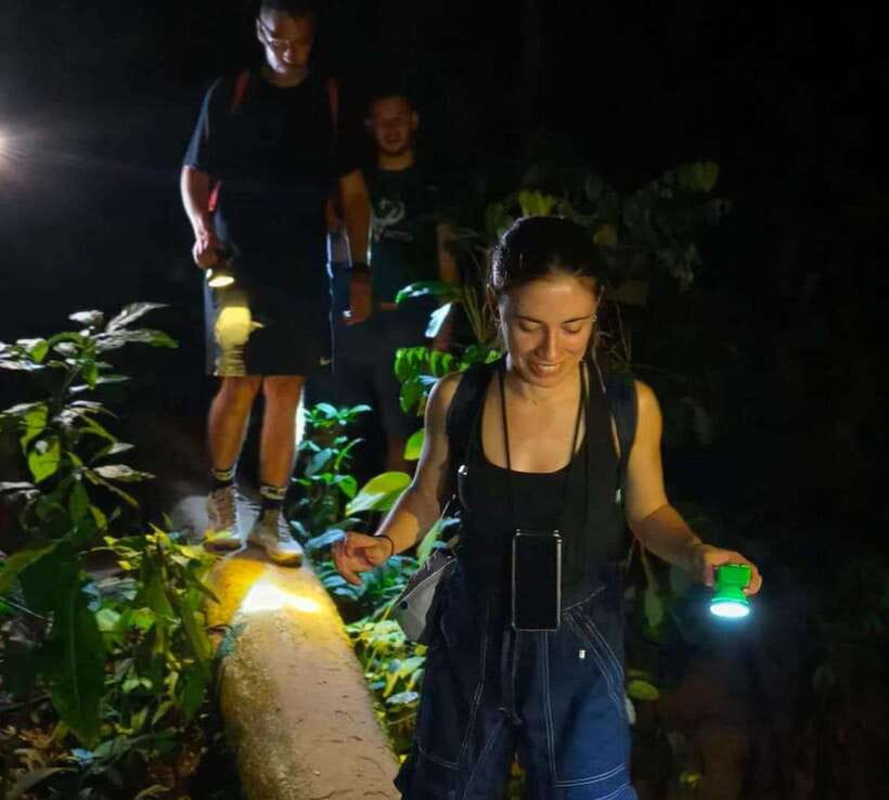 Khao Sok: Private Night Safari Adventure w/ Hotel Transfer - Getting There After Sunset: Pickup, Timing, and the Start of the Walk