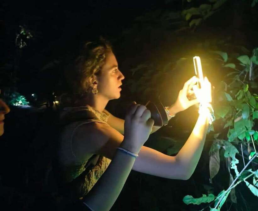 Khao Sok: Private Night Safari Adventure w/ Hotel Transfer - The Guide Makes the Difference: How Wildlife-Spotting Works