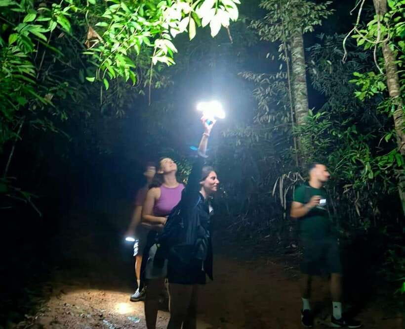 Khao Sok: Private Night Safari Adventure w/ Hotel Transfer - Comfort and Safety: Repellent, Footing, and Night-Ready Gear