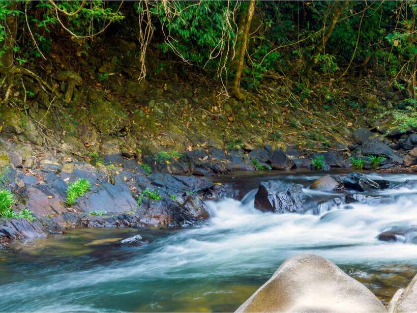 Khao Sok: Private Waterfalls and Wildlife Half-Day Trek - Private or Small Group: When It Changes Your Day