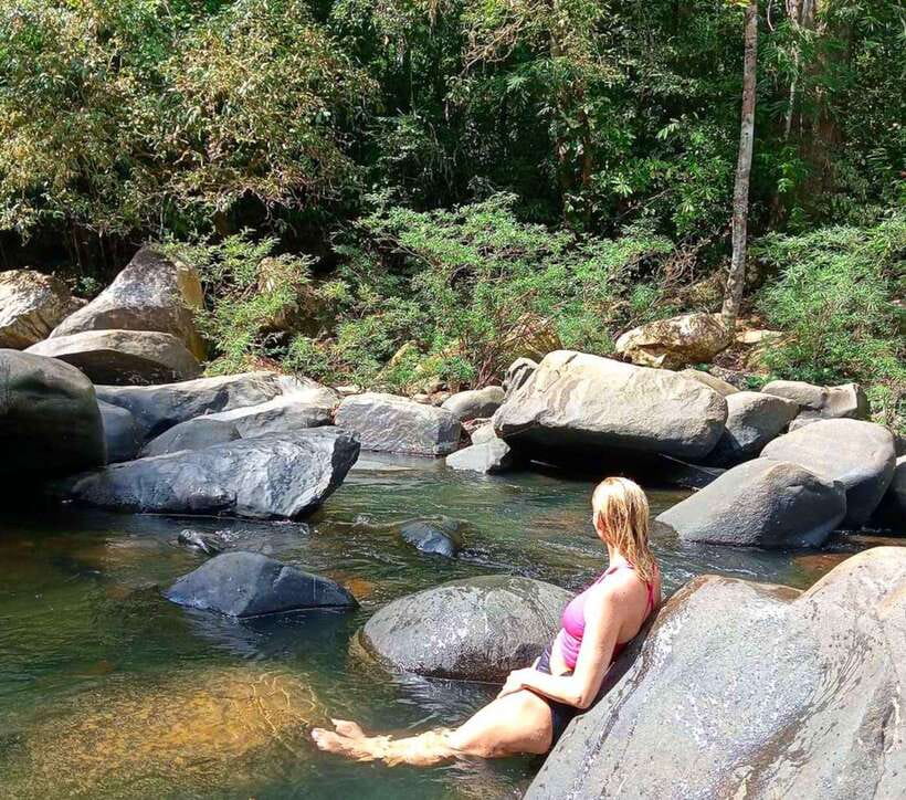 Khao Sok: Private Waterfalls and Wildlife Half-Day Trek - Wildlife Spotting: Monkeys, Gibbons, and the Small Stuff That Counts