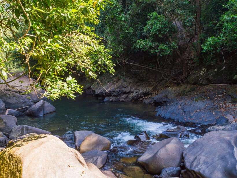 Khao Sok: Private Waterfalls and Wildlife Half-Day Trek - What to Bring for Comfort (Not Just for Photos)