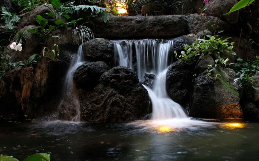 Khao Yai National Park: 2-Day Private Tour from Bangkok - Bangkok to Khao Yai: why the early drive matters