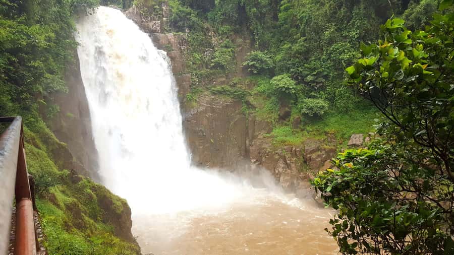 Khao Yai National Park: 2-Day Private Tour from Bangkok - Second-highest mountain viewpoint and the elephant salt-lick evening