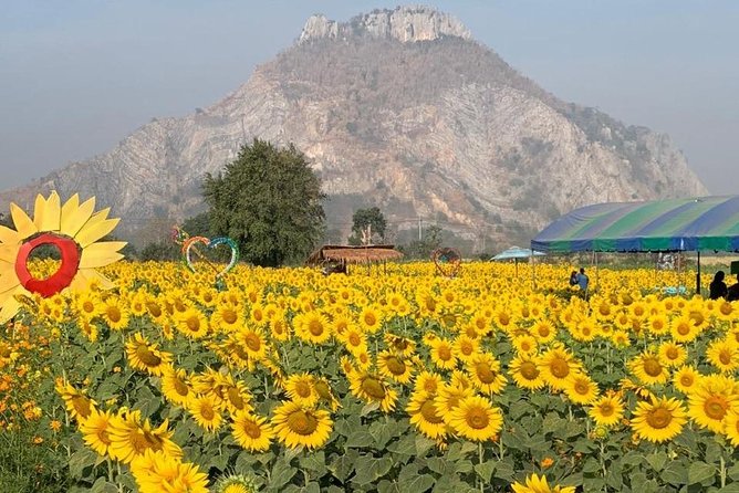 Khao Yai national Park day tour from Bangkok - Who This Tour Suits Best (and Who Should Think Twice)