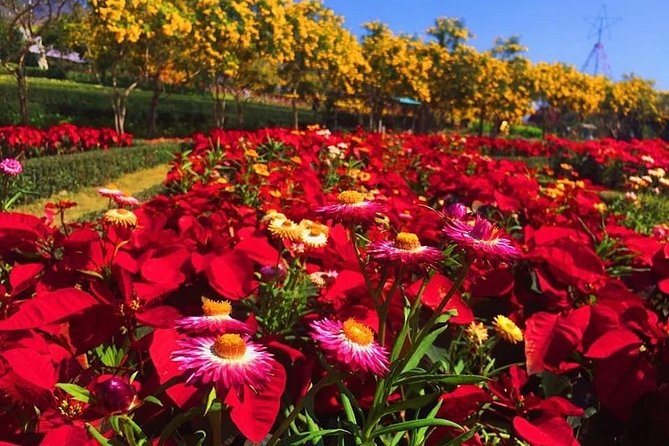Khao Yai national Park day tour from Bangkok - Private, Customizable, Pickup Included: Why This Format Works