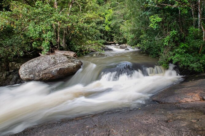 Khao Yai National Park Full-Day From Bangkok - Including Ticket - Haew Suwat Waterfall: the photo stop that still demands effort