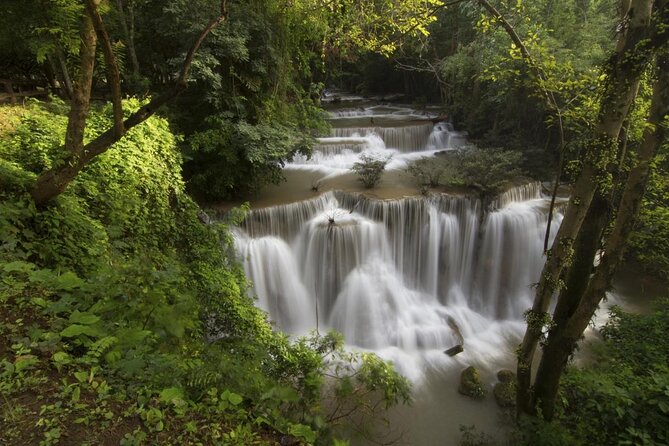 Khao Yai National Park Full-Day From Bangkok - Including Ticket - Wildlife expectations you can actually plan for