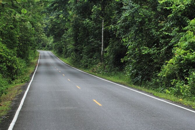 Khao Yai National Park Full-Day From Bangkok - Including Ticket - Guides and small group size: where the day becomes human