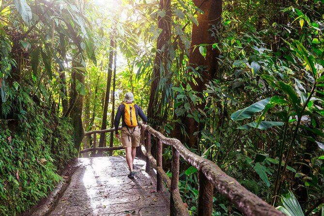 Khao Yai National Park Full-Day From Bangkok - Including Ticket - Choosing your pace: forest walking plus waterfall stairs