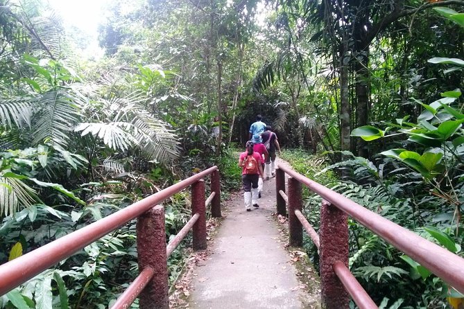Khao Yai National Park Hiking Day Tour: Haew Narok and Haew Suwat - Haew Suwat Waterfall and The Beach: Shade, Rocks, and No Swimming