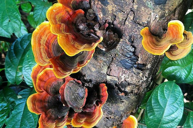 Khao Yai National Park Hiking Day Tour: Haew Narok and Haew Suwat - Price and Value: What You Pay For, and Why It Makes Sense