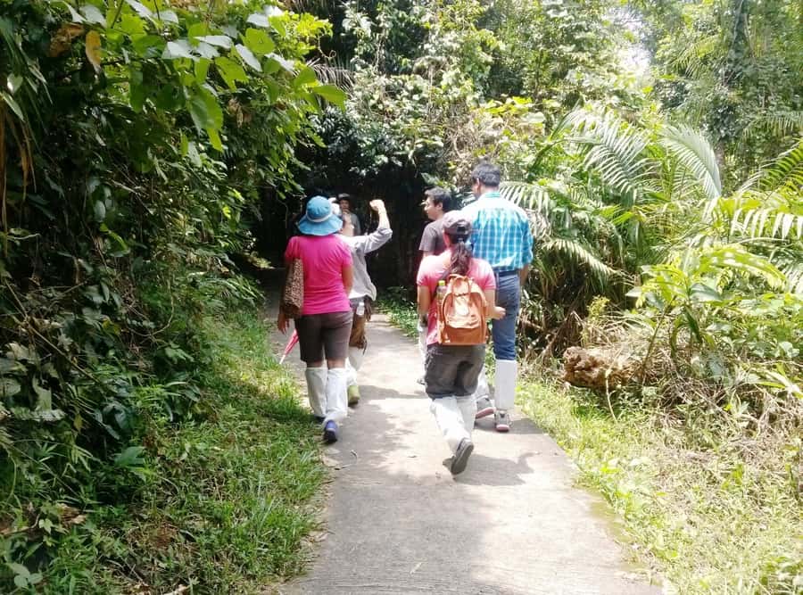 Khao Yai National Park: Waterfalls - Heaw narok & Heaw Suwat - Who this Khao Yai waterfalls day trip suits best