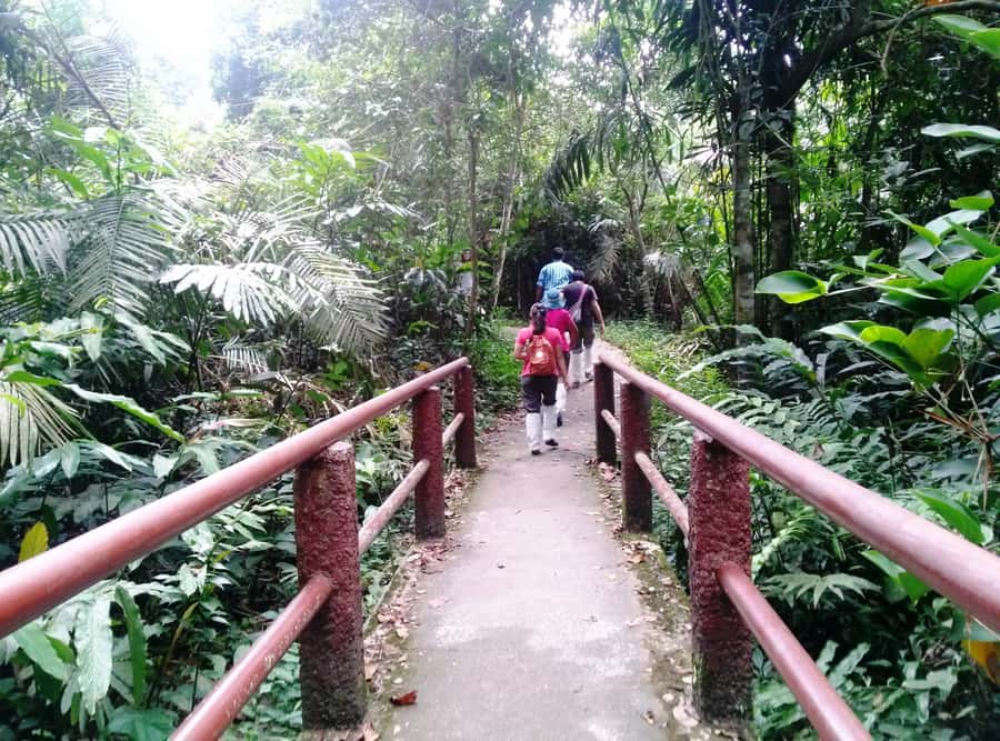 Khao Yai National Park: Waterfalls - Heaw narok & Heaw Suwat - Lunch inside the park day: set menu, seasonal fruit, and real recharge