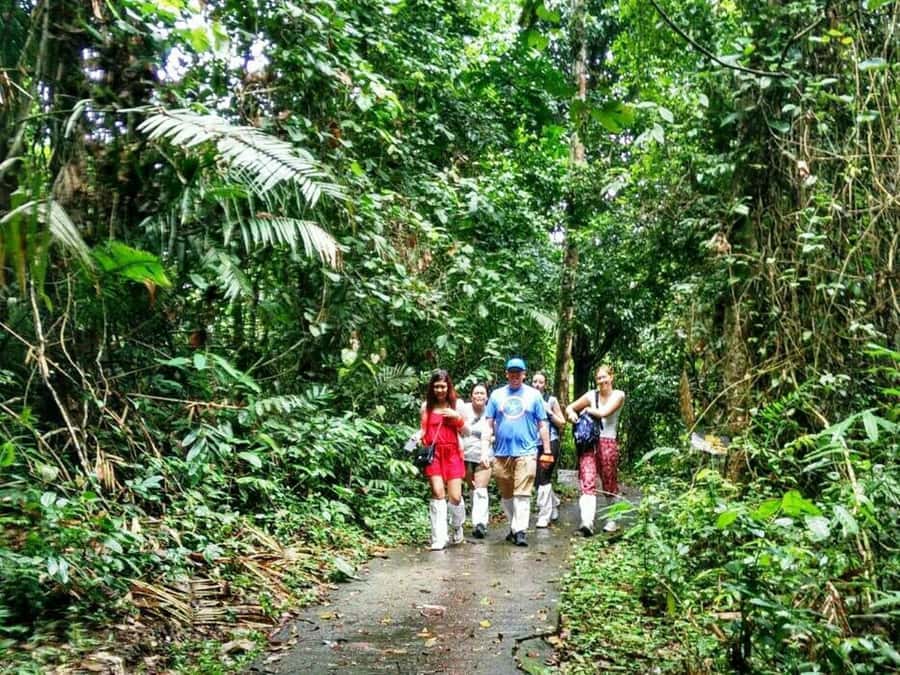 Khao Yai National Park: Waterfalls - Heaw narok & Heaw Suwat - Nakhon Nayok fresh market: Thai food flavors before the jungle