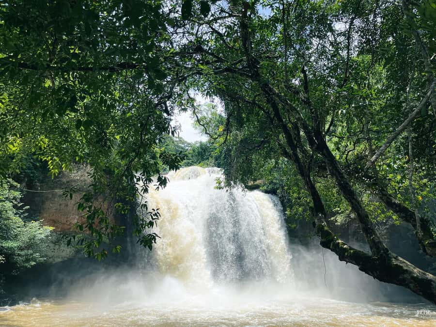 Khao Yai: Private Custom Tour with Driver From Bangkok - Private charter from Bangkok, then Khao Yai on your schedule