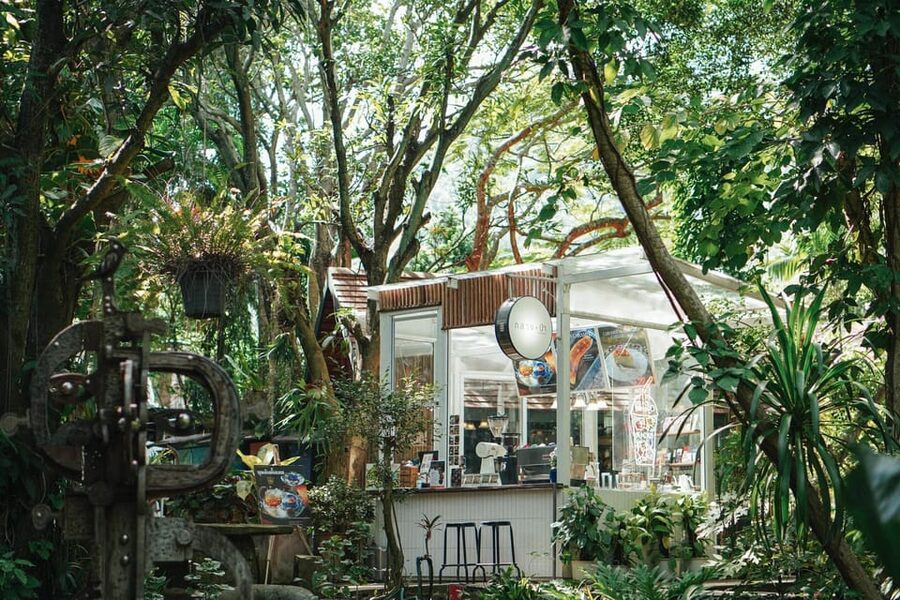 Khao Yai: Private Custom Tour with Driver From Bangkok - Drivers, guides, and the language reality