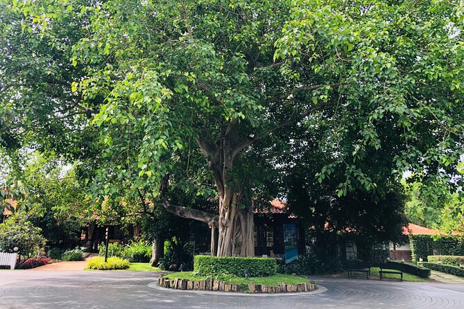 Khao Yai Private tour from Bangkok - Lago di Khao Yai: a shaded coffee stop with included admission