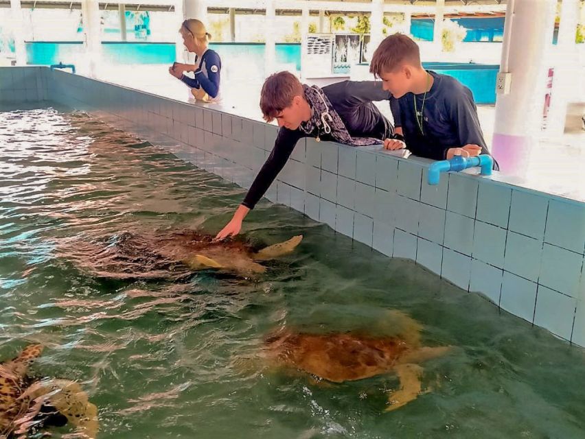 Khaolak: Bamboo Rafting, Waterfalls, and Turtle Conservation - Who should book this tour, and who should skip it