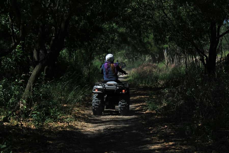 KhaoSok: Green Trails ATV Safari in Khao Sok - Coaching on Tricky Sections: How the Guides Manage the Terrain