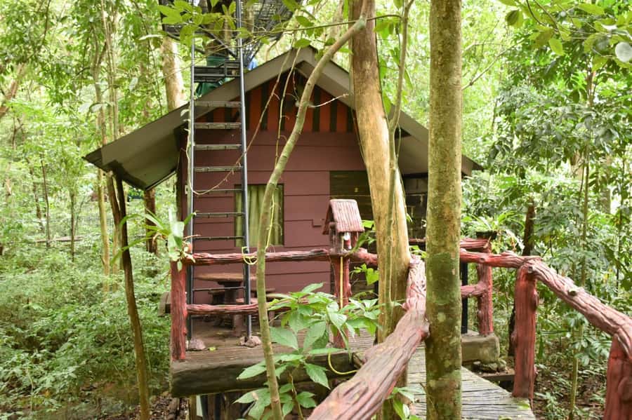 Khaosok National Park: 4-Day and 3-Night Package Trip - Who this trip fits best, and who should think twice