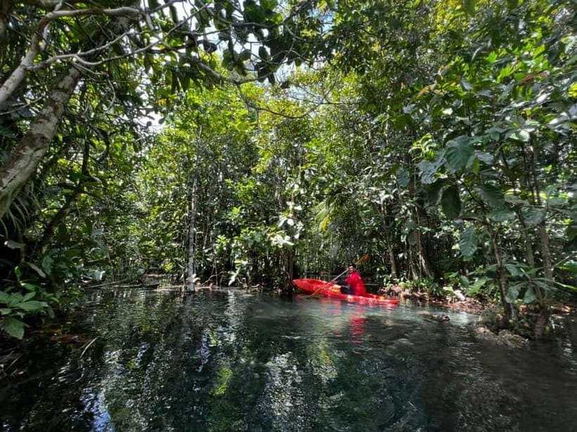 Klong Rud Kayaking with Hotel Transfer - Why Klong Rud Kayaking in Ao Nang is a smart “half-day nature” pick