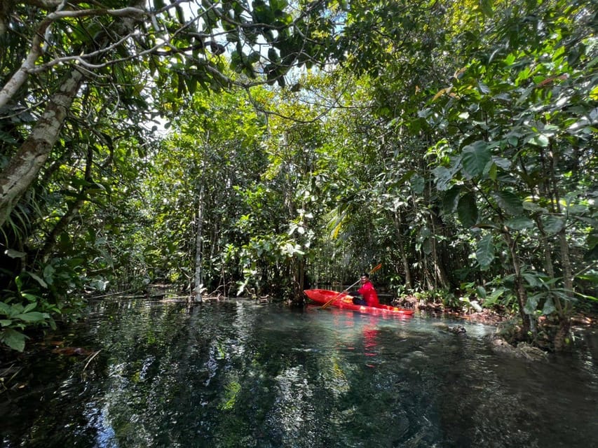 Klong Rud Kayaking with Hotel Transfer - Who this Klong Rud kayaking tour is best for