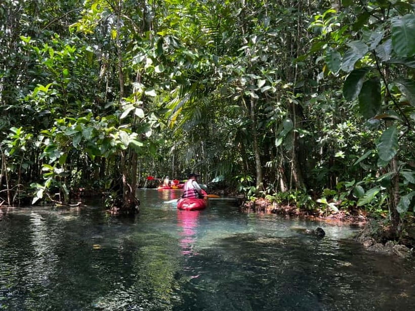 Klong Rud Kayaking with Hotel Transfer - Paddle the Khlong Nam Sai lagoon through mangrove forest