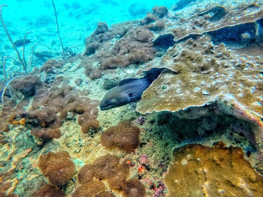 Ko Lanta: 4 Islands Snorkeling Tour by Longtail Boat - Key Things I’d Watch For