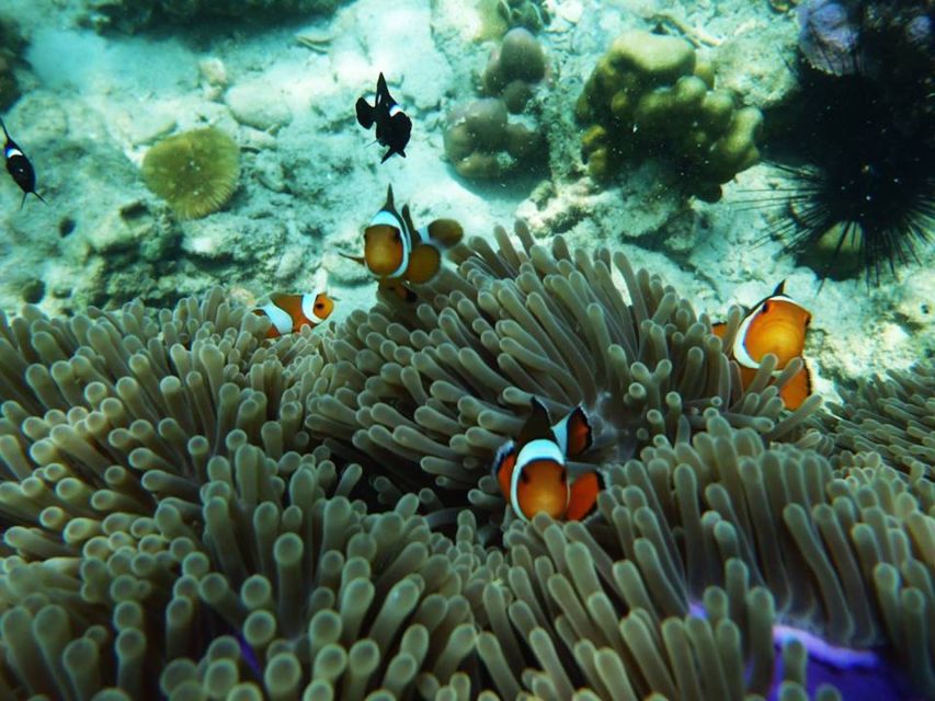 Ko Lanta: 4 Islands Snorkeling Tour by Longtail Boat - Ko Chuek (Rope Island): Morning Snorkel When the Sea Is Calm
