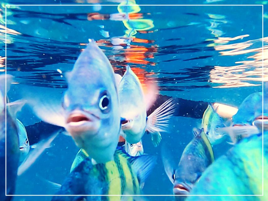 Ko Lanta: 4 Islands Snorkeling Tour by Longtail Boat - Koh Maa (Horse Island): A Final Snorkel or Swim Before Heading Back